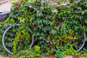 Overgrown Bike