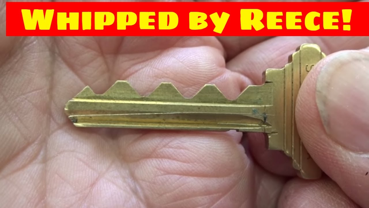 (1069) Whipped by Reece's Seven Deuce – BosnianBill's LockLab