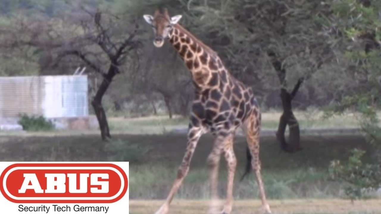 (215) Abus ZB Bypass (and a Giraffe) – BosnianBill's LockLab